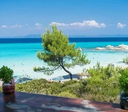 Sarti Home Διαμέρισμα Σάρτη